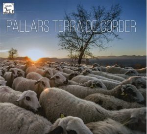 llibre_24111