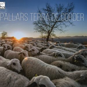 PALLARS TERRA DE CORDER (Pròleg de Maria Barbal)