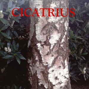 CICATRIUS